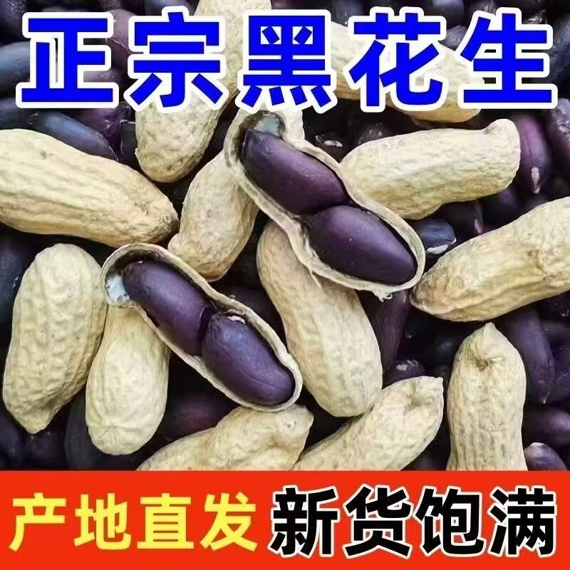 2025富硒黑皮花生黑花生纯黑带壳特产自然晒干滋补杂粮新货年货节