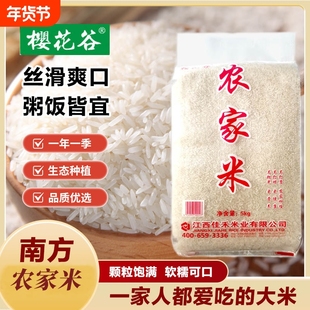 南方长粒大米农家自种晚稻大米未抛光米含胚芽不打蜡乡下新米籼米