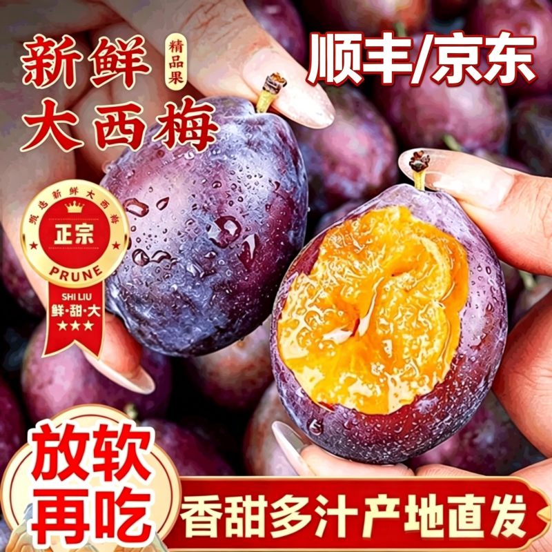 顺丰现摘西梅5斤新鲜水果新疆当季整箱李子法兰西应季蓝蜜时令