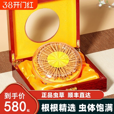 固成堂冬虫夏草虫草野生