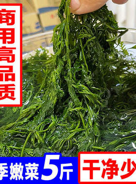 新鲜鞭炮笋海藻羊栖菜火锅凉拌菜海草火炮菜盐渍马尾藻美食麻辣