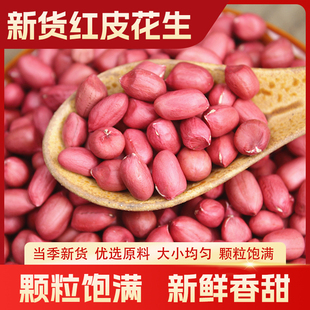 2025年新货红皮花生米红衣饱满营养丰富开袋即食1斤装