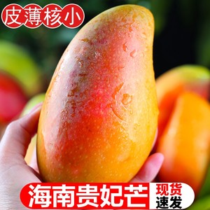 海南贵妃芒10斤芒果新鲜水果应当季热带特产红金龙青甜心忙1斤