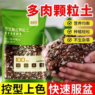 多肉专用颗粒土多肉植物营养土盆栽铺面石叶插纯颗粒种植土壤基质