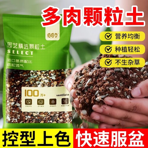 多肉专用颗粒土多肉植物营养土