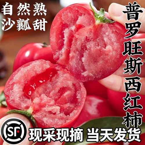 自然熟西红柿新鲜5斤装蔬菜农家普罗旺斯沙瓤小番茄包邮柿子西瓜