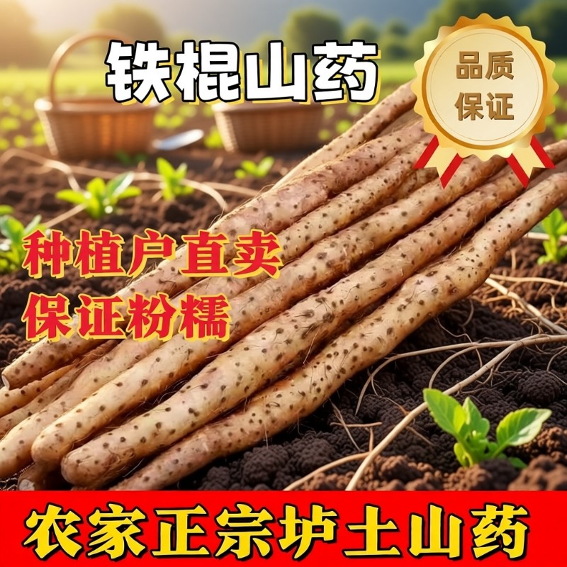 河南特产焦作温县铁棍山药淮山药新鲜蔬菜有药性的怀山药长山药,传统滋补营养品,山药及其制品,淘宝优惠券,粉丝福利购,淘宝优惠卷