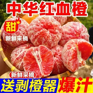 正宗秭归红肉血橙产地直发湖北宜昌新鲜孕妇水果 红橙橙子平凡 包邮