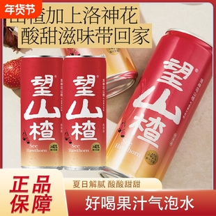 好望水望山楂柠檬气泡果汁气泡水碳酸饮料订婚铝罐330ml饮料夏日