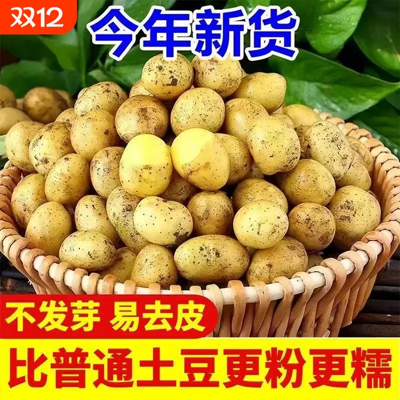 正宗2025年新鲜恩施小土豆马尔科黄心老品种农家高山洋芋土豆自种