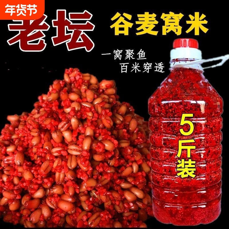 老坛谷麦酒米打窝料钓鱼饵料野钓鲫鲤鱼草小麦子鱼食发酵颗粒溪流,户外/登山/野营/旅行用品,活饵/谷麦饵等饵料,淘宝优惠券,粉丝福利购,淘宝优惠卷