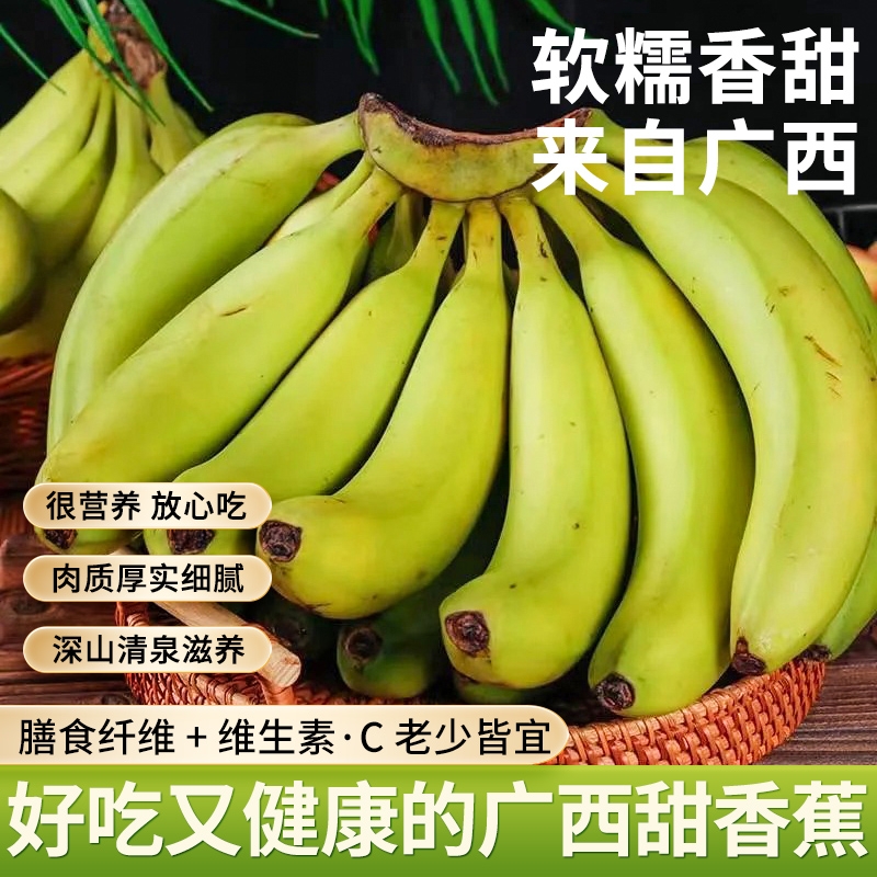 广西甜蕉绿皮香蕉产地现摘直发新鲜香蕉青蕉发货变软即可食用