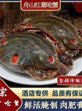 舟山红膏呛蟹生腌螃蟹梭子蟹宁波咸蟹醉蟹酱母蟹炝蟹即食海鲜腌制