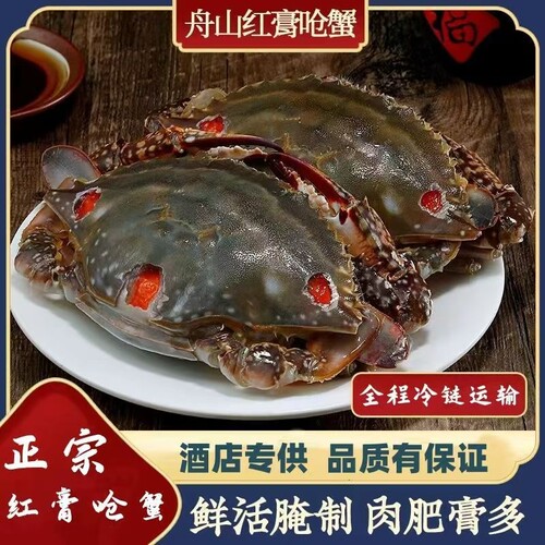 舟山红膏呛蟹生腌螃蟹梭子蟹宁波咸蟹醉蟹酱母蟹炝蟹即食海鲜腌制