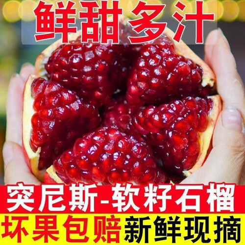 地标授权产品】四川会理正宗突尼斯软籽石榴当季新鲜采摘孕妇水果