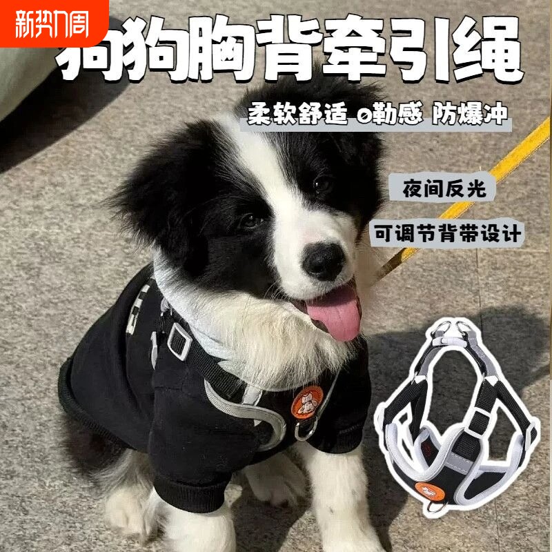 背心式狗狗牵引绳小型犬泰迪比熊博美胸背带宠物幼犬遛狗绳狗链⑥