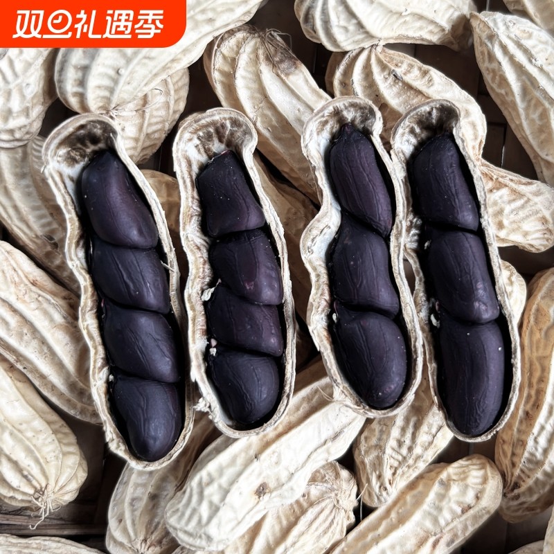 云南普洱富硒黑花生黑皮花生2025年新货晒干黑花生带壳黑皮花生米