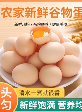 新鲜农家鸡蛋谷物鸡蛋农家笨鸡蛋月子蛋草鸡蛋初生蛋