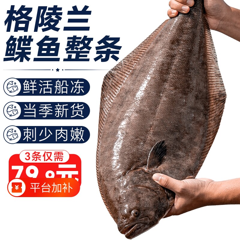 鸦片鱼深海鲽鱼整条蝶鱼身鱼头格陵兰比目鱼新鲜冷冻特大牙雅片鱼