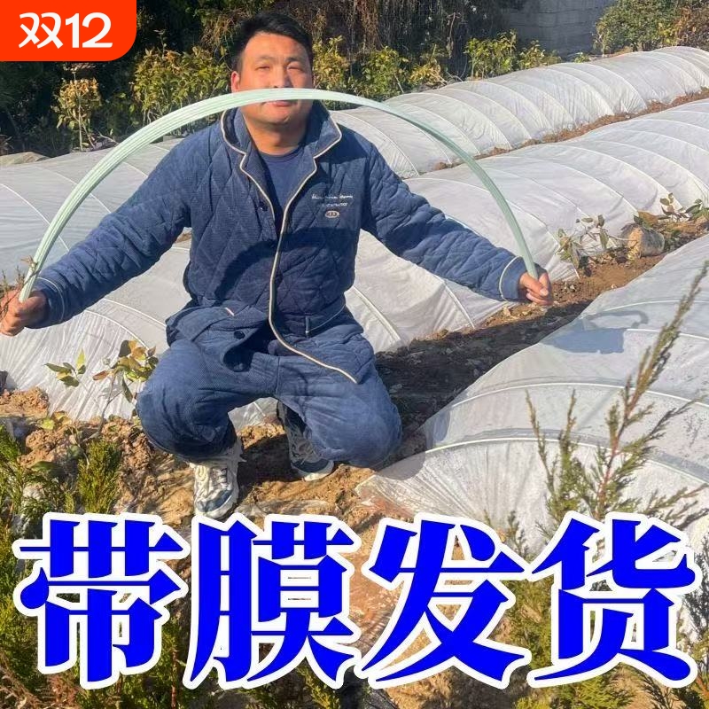 【配大棚膜】拱棚支架玻璃纤维杆温室大棚支架玻璃钢拱棚支架农用