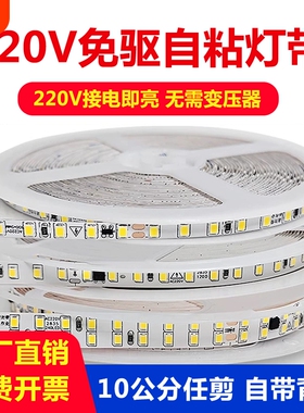 220V免驱自粘灯带LED软灯条超亮8mm室内吊顶嵌入式线形灯氛围灯