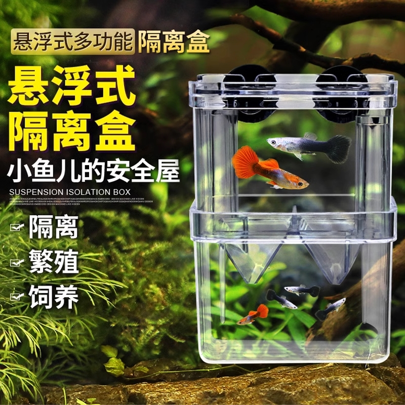 鱼缸隔离盒孔雀鱼繁殖盒凤尾斑马母鱼产房小鱼缸内胎生鱼幼鱼孵化