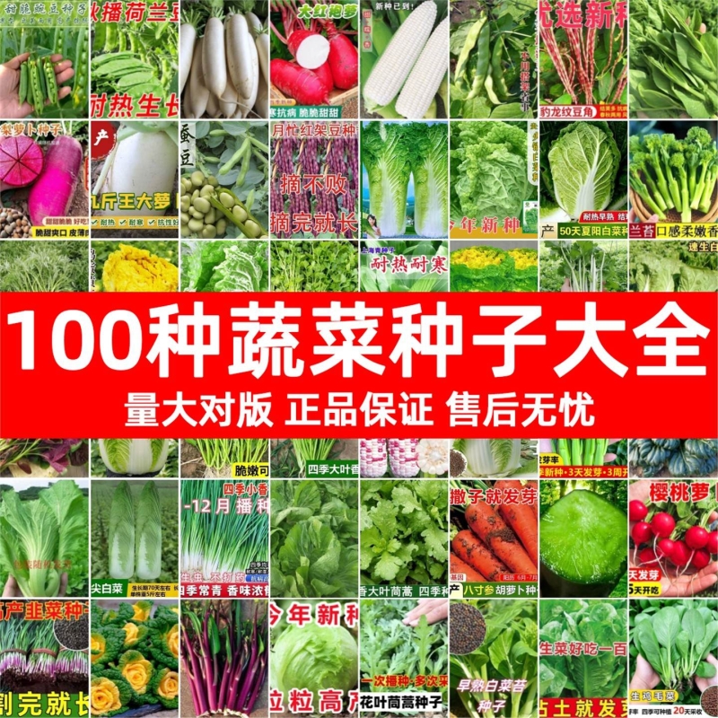 菜籽种大全四季蔬胡萝卜芹