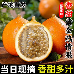 纳哥伦比亚品种黄金果新鲜孕妇水果纯甜百香果 云南热情果西双版