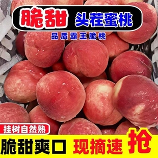 桃子水蜜桃毛桃脆桃4.5斤