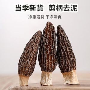 云南野生羊肚菌新货(6-9cm)精选特产山珍干货煲汤火锅食材滋补品