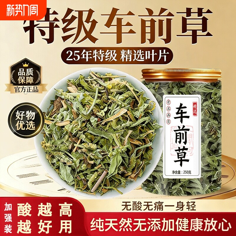 车前草中药材新鲜野生干货官方旗舰店泡水喝的功效与作用尿路感染