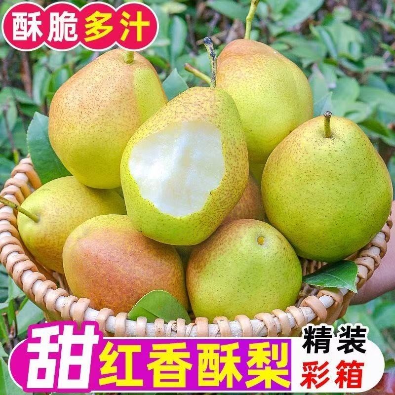 【批发价】源自高山香梨新鲜水果梨子脆甜红香酥青薄皮应季,水产肉类/新鲜蔬果/熟食,梨,淘宝优惠券,粉丝福利购,淘宝优惠卷