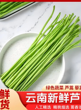 篱蒿当季芦蒿黎蒿泥蒿去叶净菜绿色蔬菜野菜鲜嫩新鲜食用