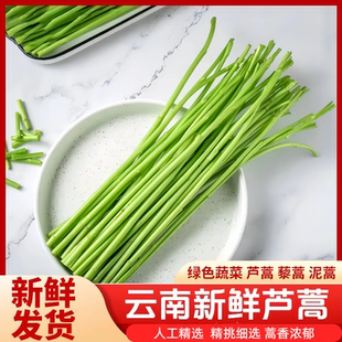 篱蒿当季芦蒿黎蒿泥蒿去叶净菜绿色蔬菜野菜鲜嫩去叶净菜