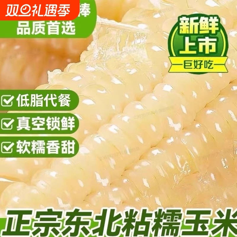 东北玉米新鲜糯玉米棒真空装包加热即食香甜糯白苞米白糯玉米代餐
