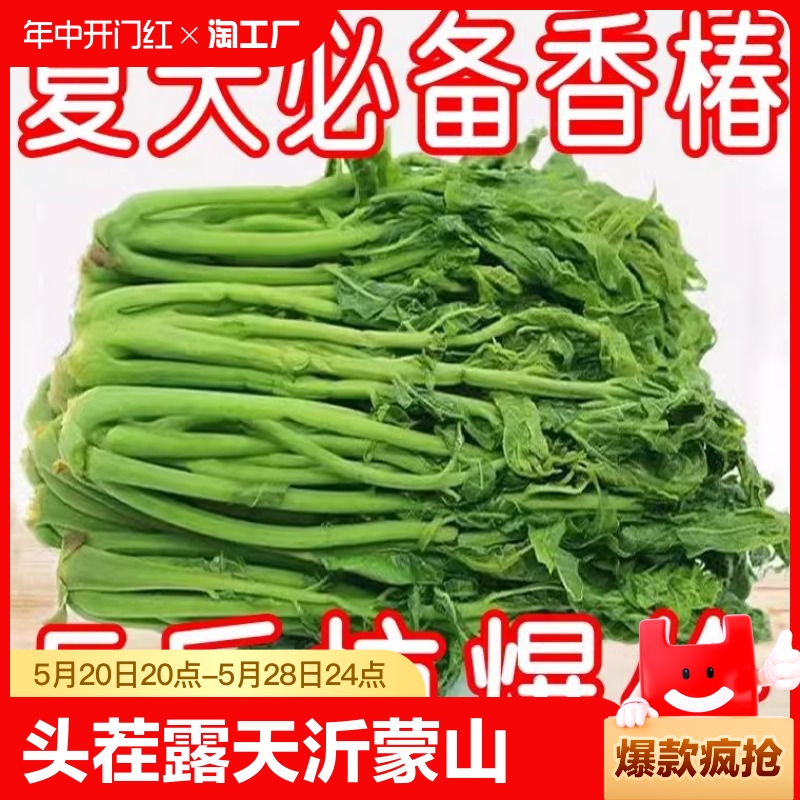 香椿芽头茬露天沂蒙山香椿山东红香椿2023腌制咸菜下饭菜蔬菜 水产肉类/新鲜蔬果/熟食 香椿芽 原图主图