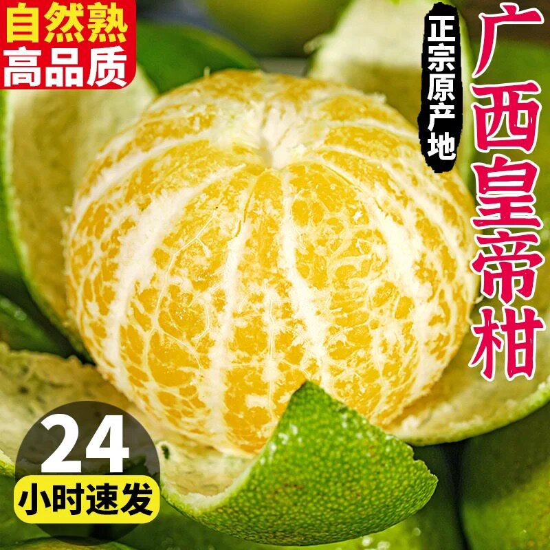 正宗广西皇帝柑新鲜橘子水果当季现摘蜜桔子贡柑甜橘老树大果包邮