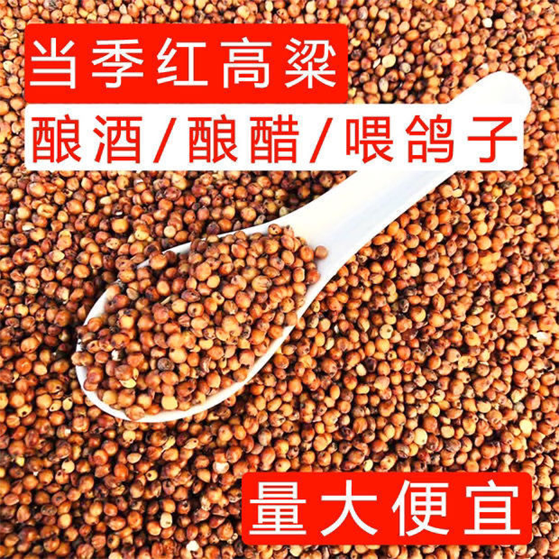 红高粱喂鸽子粮食去壳带皮鸟食信鸽观赏鸽肉鸽幼鸽成鸽粮饲料5斤