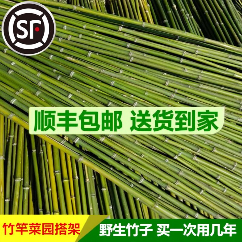 竹竿小竹杆菜园搭架子篱笆栅栏菜豆角黄瓜爬藤花架西红柿竹子围栏