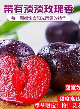 正宗玫瑰李子新鲜水果红心黑布林