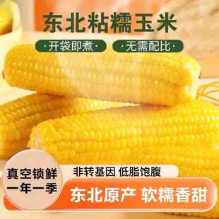 正宗东北新鲜黄糯玉米软糯拉丝独立真空包锁鲜装寒地黑土一年一季