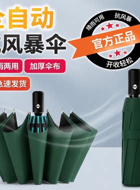 双龙骨自动晴雨伞|超3000次加购