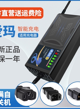 适用爱玛电动车充电器新国标电瓶48V12AH60V72V20A插头通用三孔