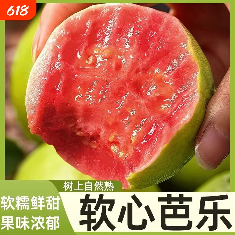 福建红心芭乐软糯甜芭乐果新鲜孕妇水果番石榴软心自提现摘告白