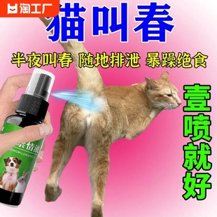 咪抑情禁情液母猫发情期抑制情公猫抑情粉闹猫防猫叫绝情水气味