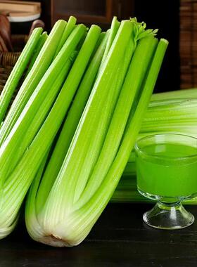 新鲜西芹山东半叶正宗榨汁农家自种直发优质时令营养丰富绿色生吃