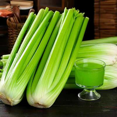 新鲜西芹正宗榨汁优质时令绿色
