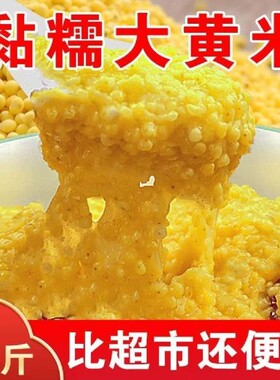 粘大黄米五谷杂粮新糯粘糯米粽子米粘豆包粘米米糕包粽子一斤煮粥