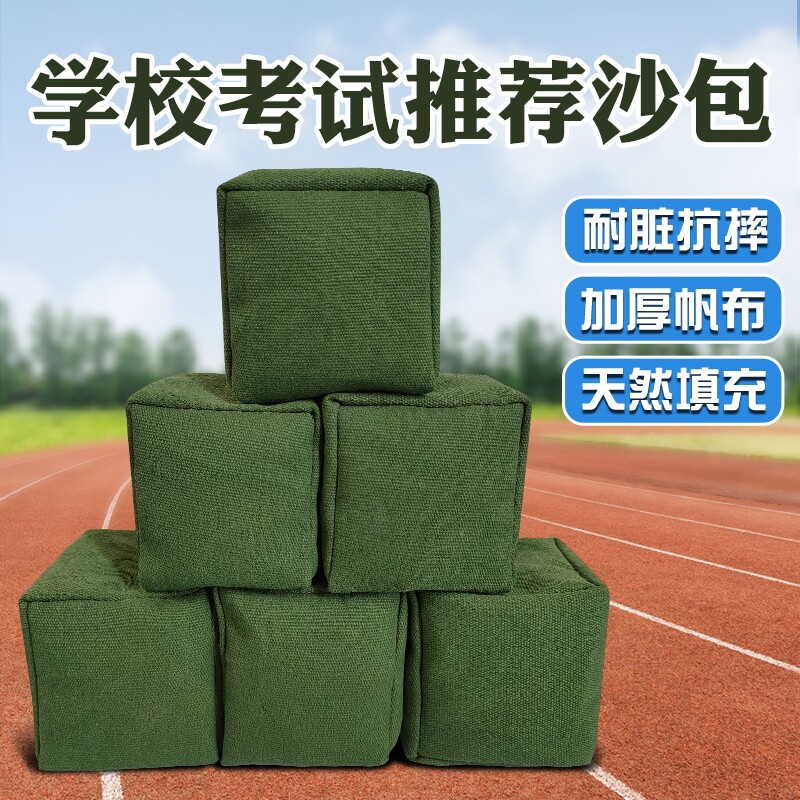 沙包袋小学生专用儿童丢沙包幼儿园成人大号投掷体育课沙袋小沙包