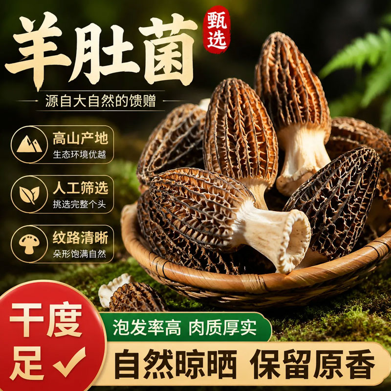 羊肚菌新鲜干货菌菇自然晾晒煲汤食材精选古田食用小时火锅炖汤